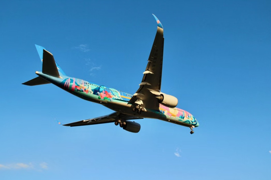vol aéroport Martinique