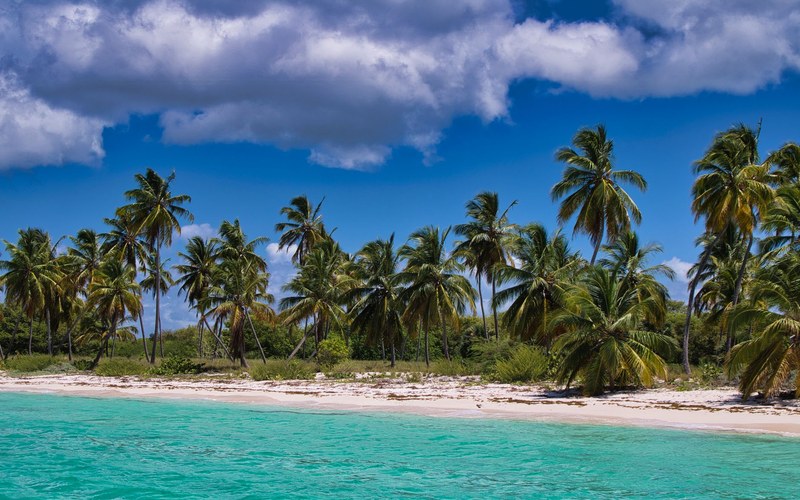 Ste Luce Martinique